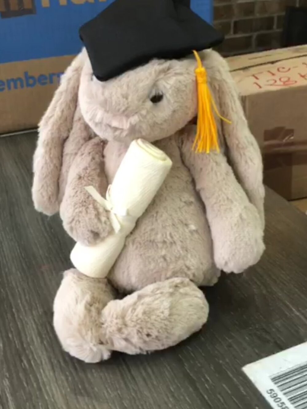 Jellycat Bashful bunny graduation outfit with tags